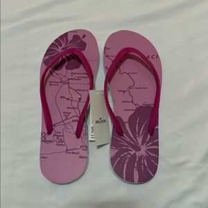 NWT Hollister Pink Hibiscus Flip Flops 🌺